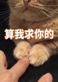 凌云天途最新章节列表