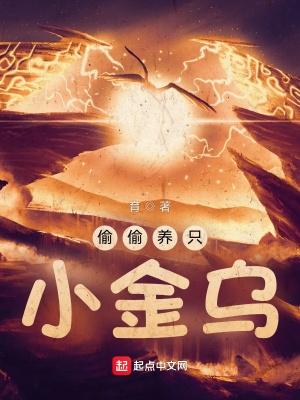 揭秘缅北