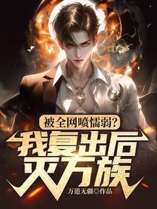权力巅峰之后是哪部书