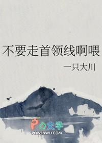 撞星风歌