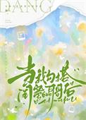 科技炼器师好看吗