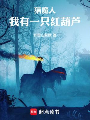 至尊战神奶爸林布衣