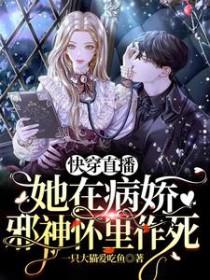 风月都市后宫录TXT未删减全集