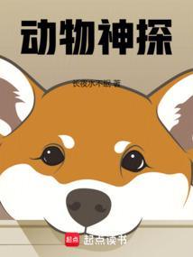 千里宦途更新到多少章了